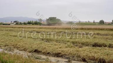 半收获的水稻湿地，收割机在后台工作，